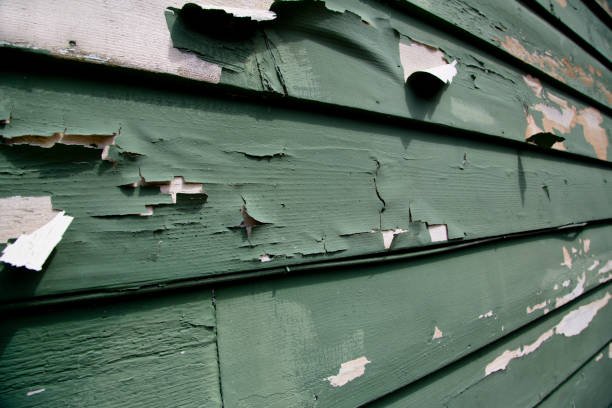 Best Storm Damage Siding Repair  in Venersborg, WA